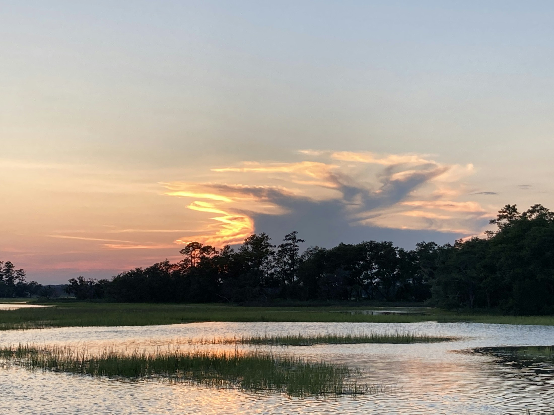 Beaufort marsh